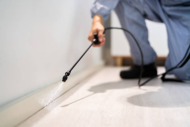 Licensed Fumigation Services service in Bystrom, CA - Nex Pest Control