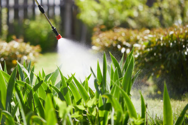 24/7 Emergency Fumigation Services experts in Bystrom, CA