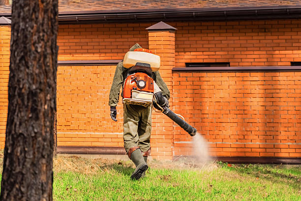 Top rated local Fumigation Services specialists in Bystrom, CA